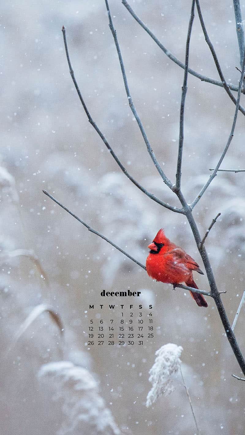 DECEMBER 2022 WALLPAPERS – 90 FREE PHONE &#038; DESKTOP CALENDARS!, Oh So Lovely Blog