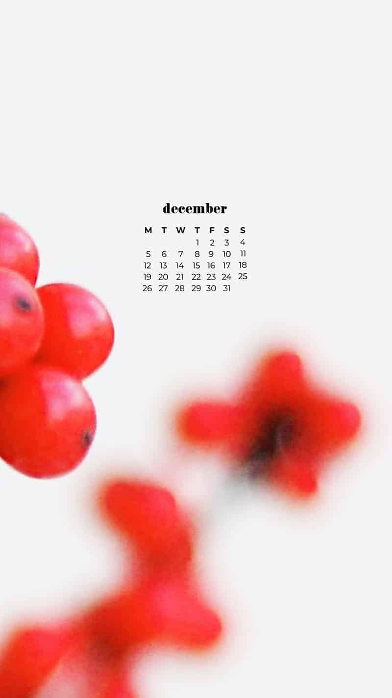 DECEMBER 2022 WALLPAPERS – 90 FREE PHONE &#038; DESKTOP CALENDARS!, Oh So Lovely Blog