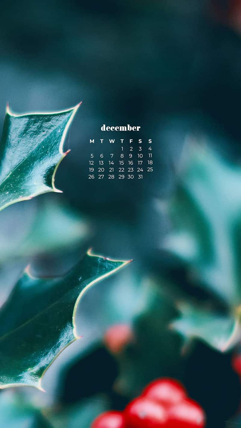 DECEMBER 2022 WALLPAPERS – 90 FREE PHONE &#038; DESKTOP CALENDARS!, Oh So Lovely Blog