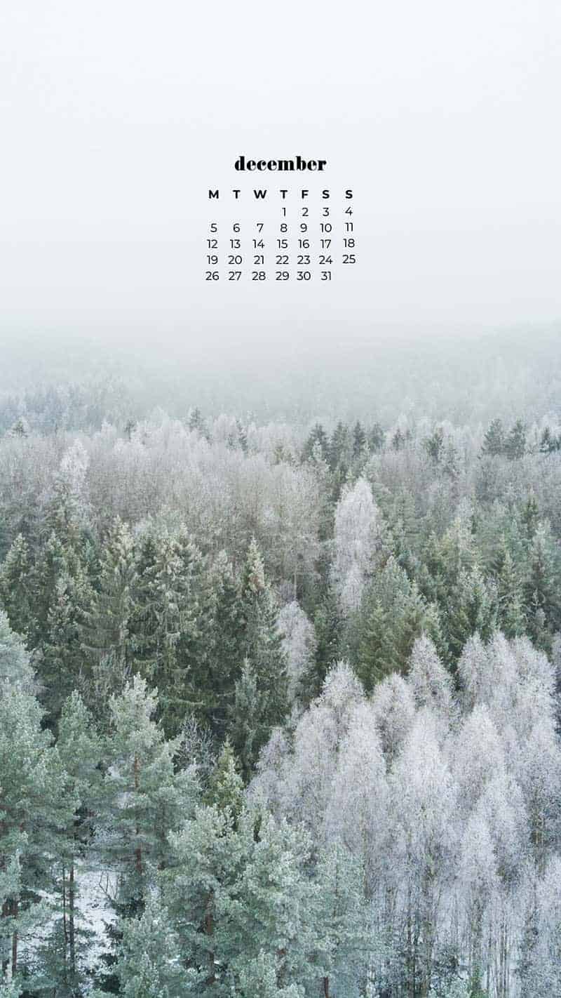 DECEMBER 2022 WALLPAPERS – 90 FREE PHONE &#038; DESKTOP CALENDARS!, Oh So Lovely Blog