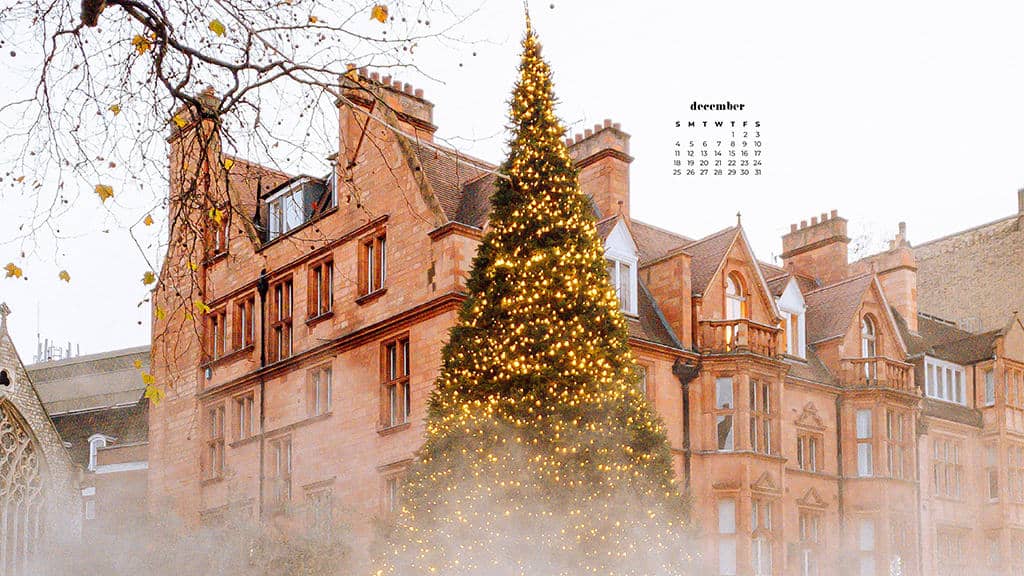 beautiful pink castle with holiday lit trees outside 