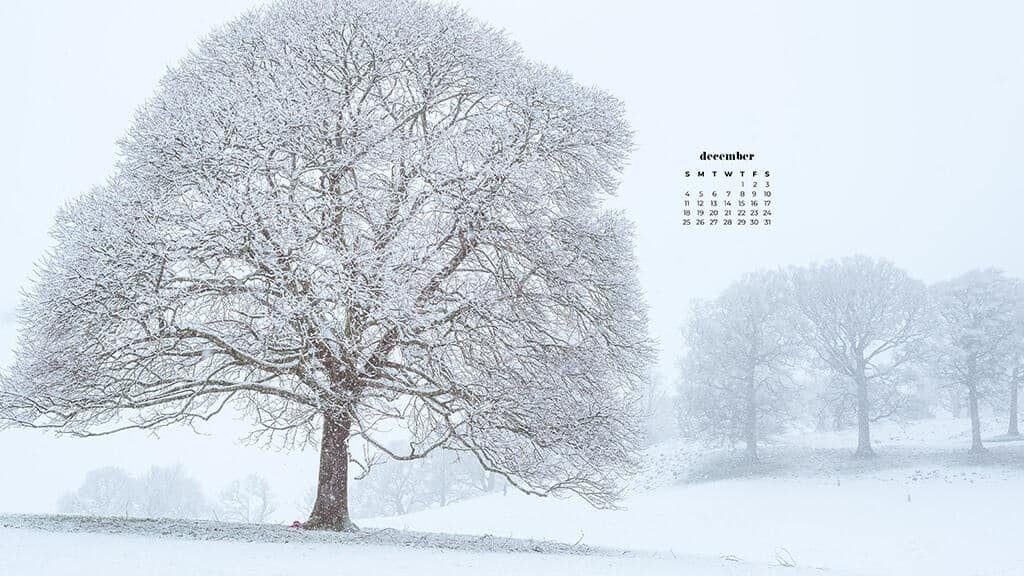 DECEMBER 2022 WALLPAPERS – 90 FREE PHONE &#038; DESKTOP CALENDARS!, Oh So Lovely Blog