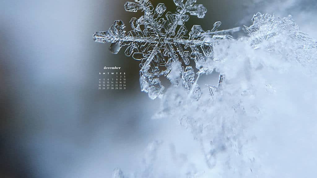 DECEMBER 2022 WALLPAPERS – 90 FREE PHONE &#038; DESKTOP CALENDARS!, Oh So Lovely Blog