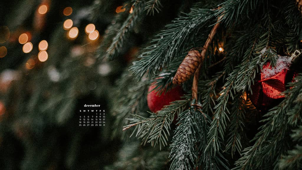 20 FREE DECEMBER 2022 DESKTOP CALENDAR BACKGROUNDS  NP