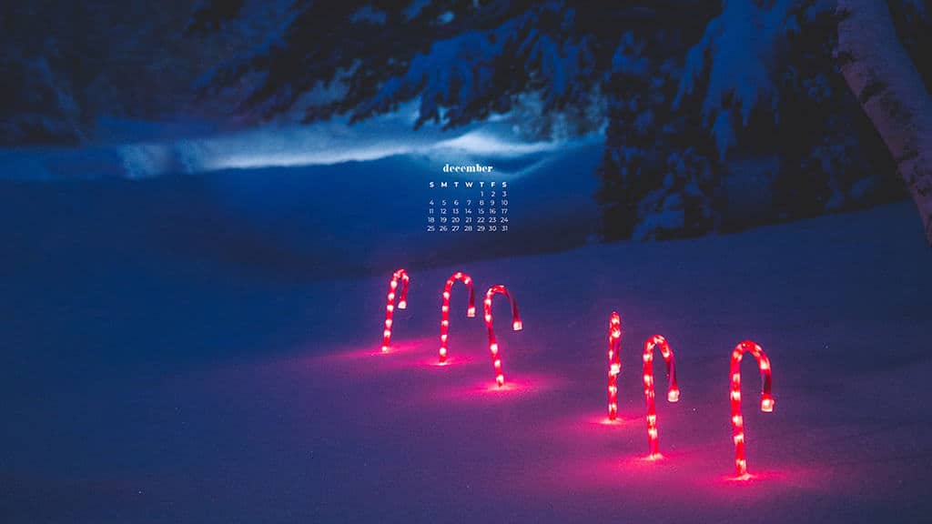 candy cane glowing lights in a snowy forest 