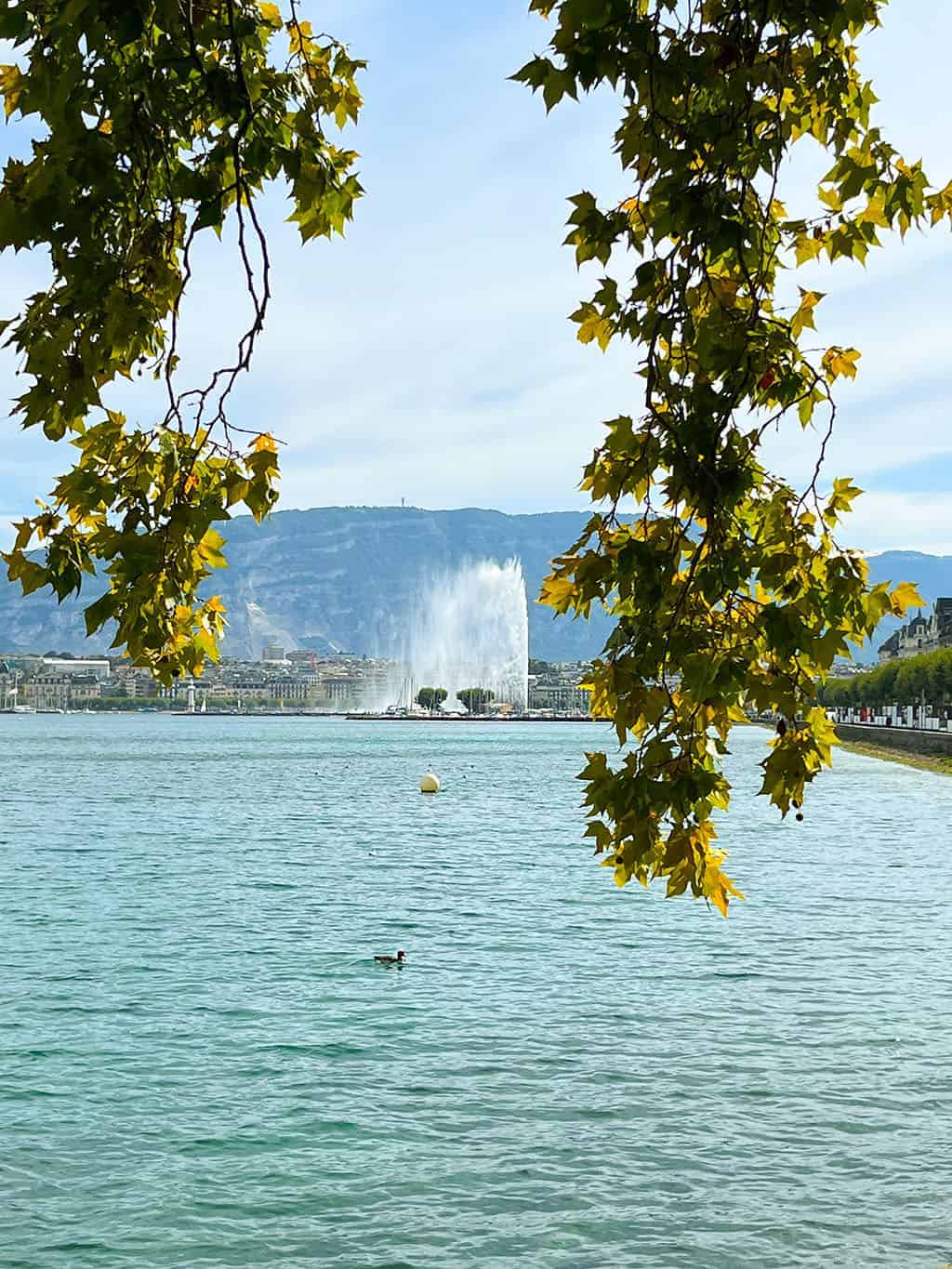 Geneva Marti Marina with view of The Jet d'Eau