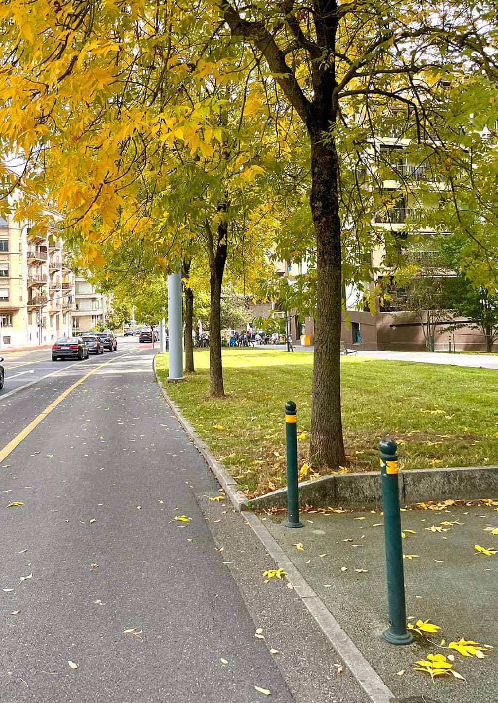 fall foliage in Geneva