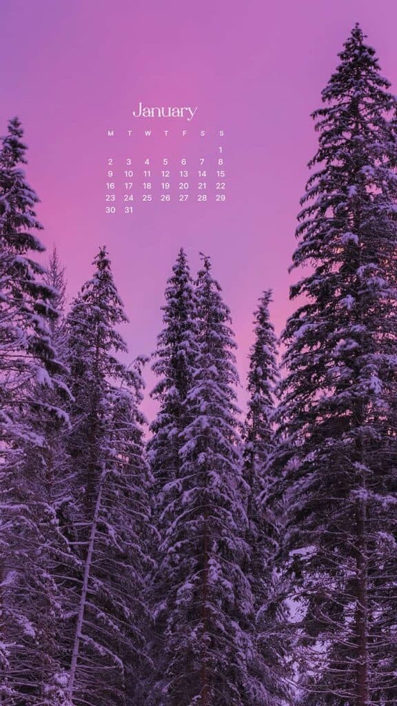 JANUARY 2023 WALLPAPERS – 55 FREE PHONE &#038; DESKTOP CALENDARS!, Oh So Lovely Blog