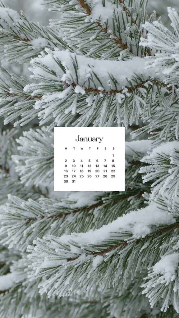 JANUARY 2023 WALLPAPERS – 55 FREE PHONE &#038; DESKTOP CALENDARS!, Oh So Lovely Blog