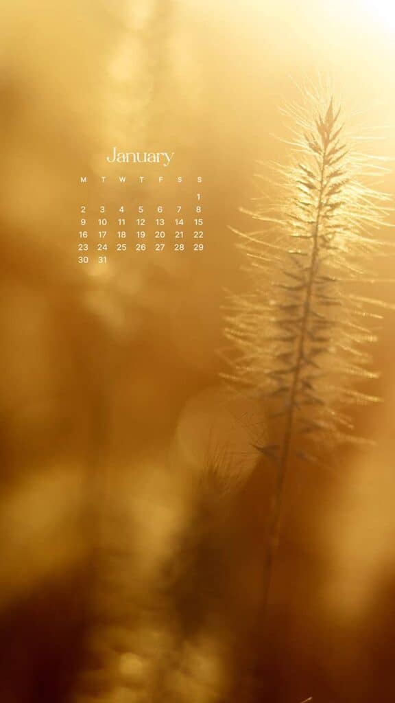 JANUARY 2023 WALLPAPERS – 55 FREE PHONE &#038; DESKTOP CALENDARS!, Oh So Lovely Blog