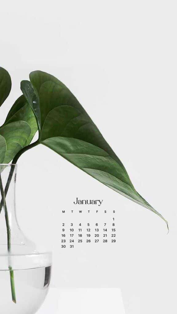 JANUARY 2023 WALLPAPERS – 55 FREE PHONE &#038; DESKTOP CALENDARS!, Oh So Lovely Blog