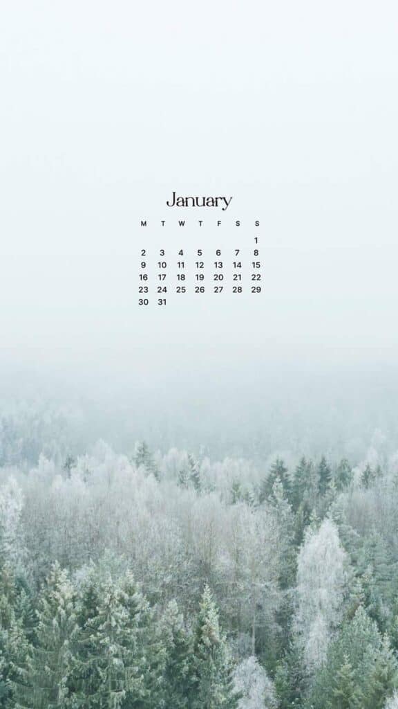 JANUARY 2023 WALLPAPERS – 55 FREE PHONE &#038; DESKTOP CALENDARS!, Oh So Lovely Blog