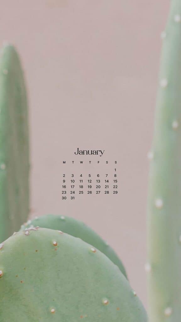 JANUARY 2023 WALLPAPERS – 55 FREE PHONE &#038; DESKTOP CALENDARS!, Oh So Lovely Blog