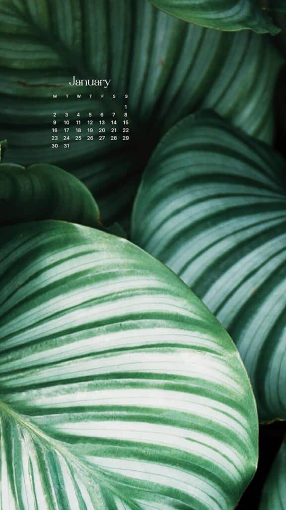 JANUARY 2023 WALLPAPERS – 55 FREE PHONE &#038; DESKTOP CALENDARS!, Oh So Lovely Blog