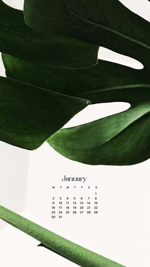 JANUARY 2023 WALLPAPERS – 55 FREE PHONE &#038; DESKTOP CALENDARS!, Oh So Lovely Blog