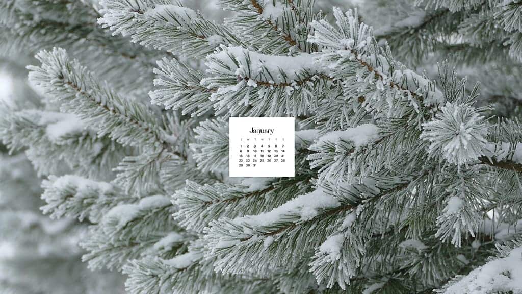 Free January 2023 Calendar Wallpapers  Desktop  Mobile