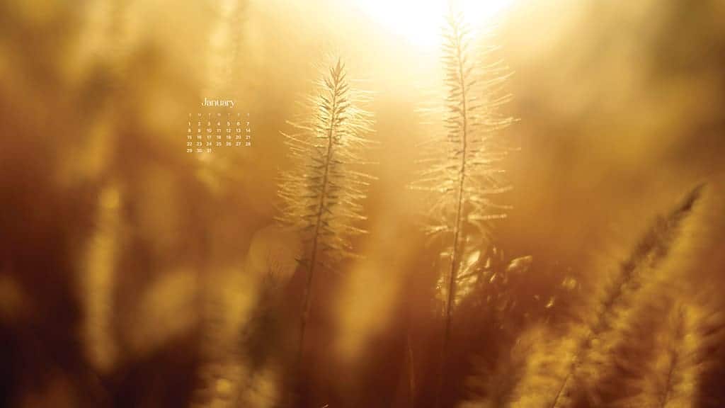 January 2023 - FREE wallpaper calendars in Sunday & Monday starts + no-calendar designs. 55 options for both desktop and smart phones!