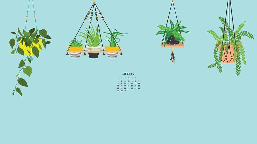 48 January 2023 Calendar Wallpapers  WallpaperSafari