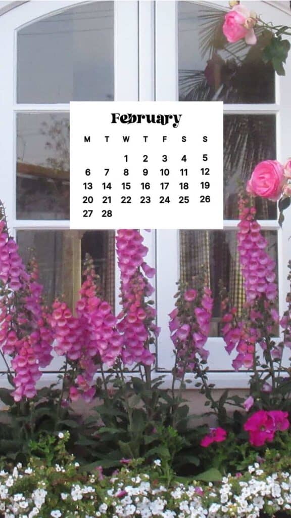 FEBRUARY 2023 WALLPAPERS – 60 FREE PHONE &#038; DESKTOP CALENDARS!, Oh So Lovely Blog