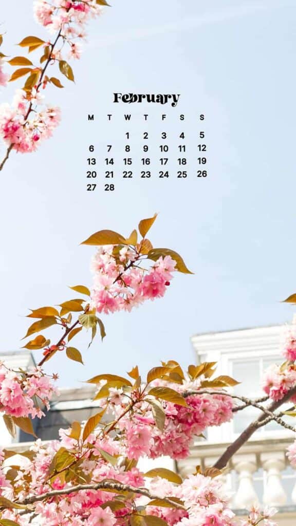 FEBRUARY 2023 WALLPAPERS – 60 FREE PHONE &#038; DESKTOP CALENDARS!, Oh So Lovely Blog