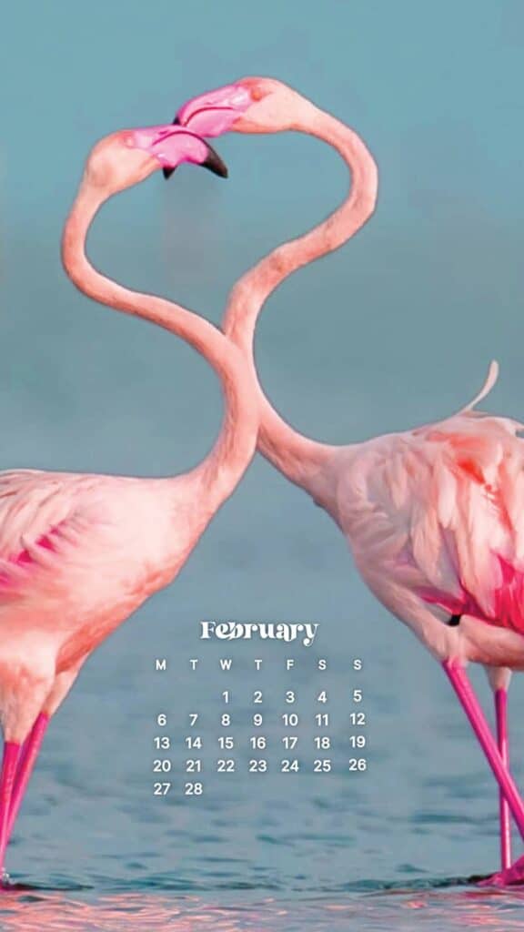 FEBRUARY 2023 WALLPAPERS – 60 FREE PHONE &#038; DESKTOP CALENDARS!, Oh So Lovely Blog