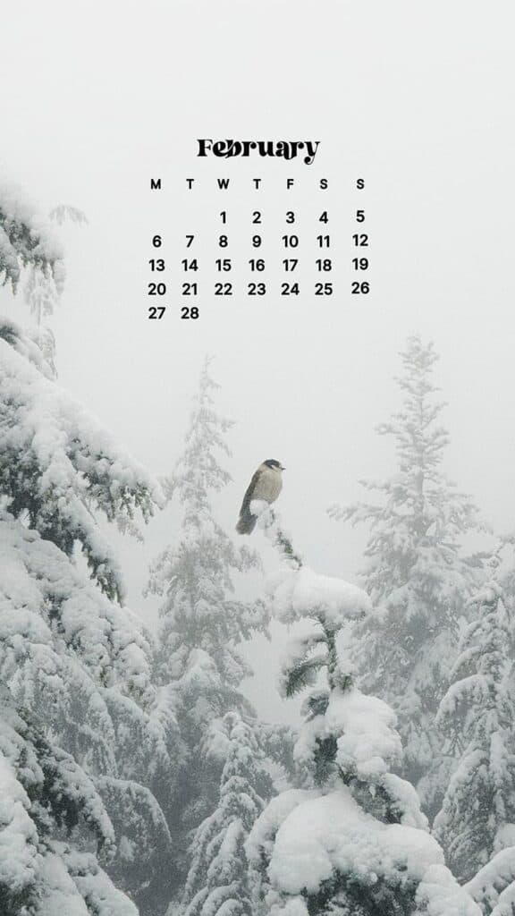 FEBRUARY 2023 WALLPAPERS – 60 FREE PHONE &#038; DESKTOP CALENDARS!, Oh So Lovely Blog