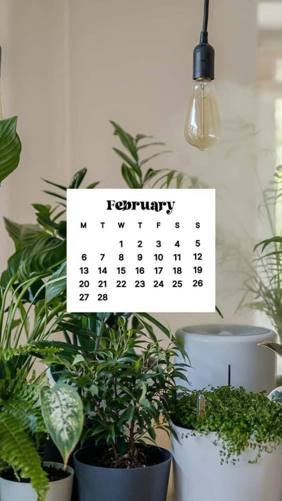 FEBRUARY 2023 WALLPAPERS – 60 FREE PHONE &#038; DESKTOP CALENDARS!, Oh So Lovely Blog