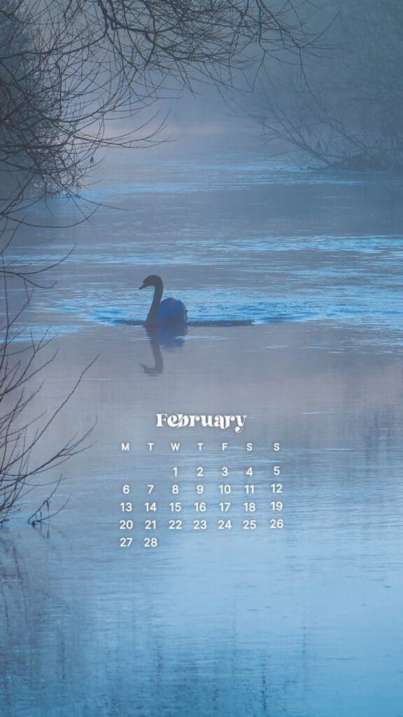 FEBRUARY 2023 WALLPAPERS – 60 FREE PHONE &#038; DESKTOP CALENDARS!, Oh So Lovely Blog