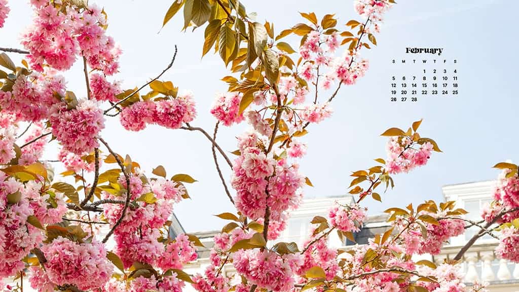 FEBRUARY 2023 WALLPAPERS – 60 FREE PHONE &#038; DESKTOP CALENDARS!, Oh So Lovely Blog