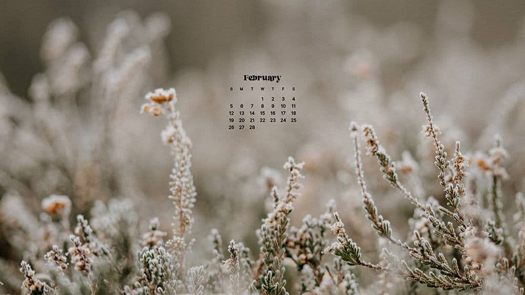 FEBRUARY 2023 WALLPAPERS – 60 FREE PHONE &#038; DESKTOP CALENDARS!, Oh So Lovely Blog