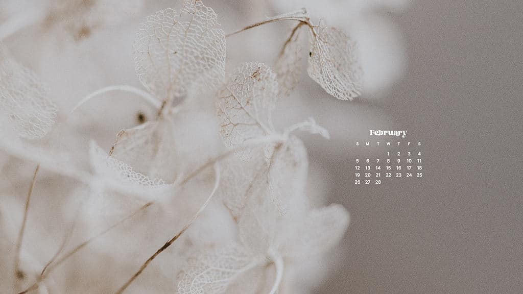 FEBRUARY 2023 WALLPAPERS – 60 FREE PHONE &#038; DESKTOP CALENDARS!, Oh So Lovely Blog