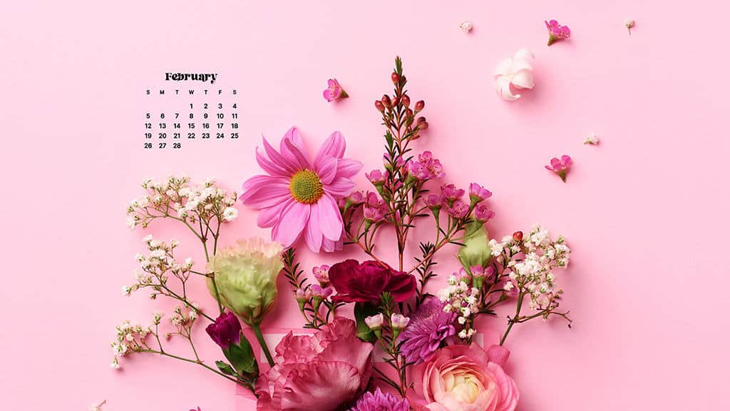 February 2023 wallpapers  60 FREEBIES for desktop  phones