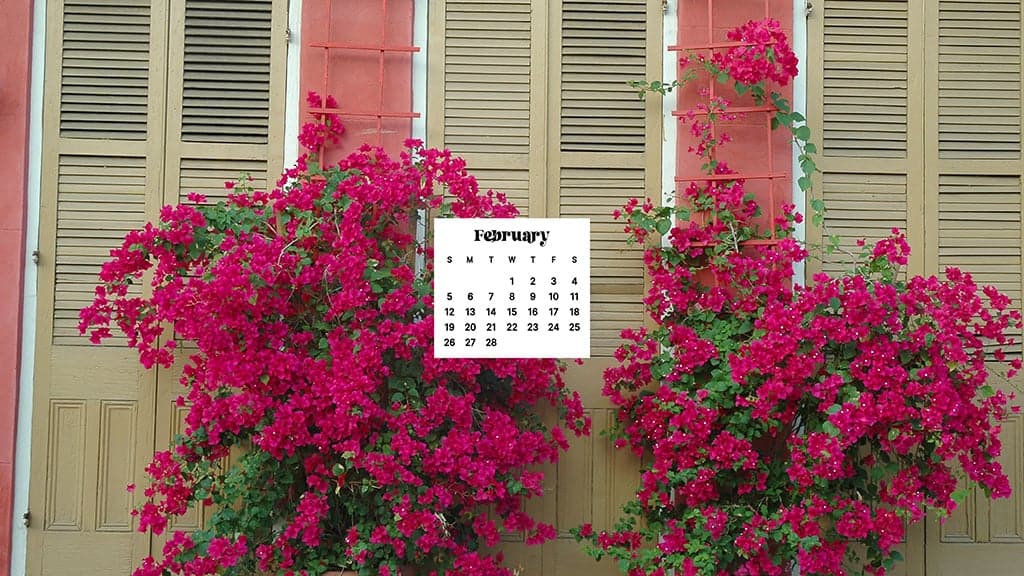 FEBRUARY 2023 WALLPAPERS – 60 FREE PHONE &#038; DESKTOP CALENDARS!, Oh So Lovely Blog