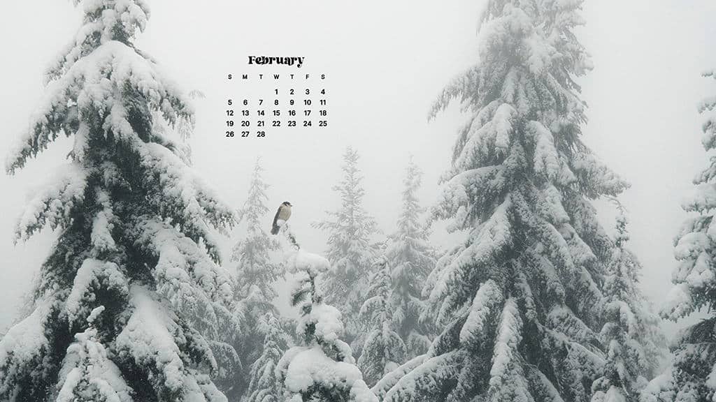 FEBRUARY 2023 WALLPAPERS – 60 FREE PHONE &#038; DESKTOP CALENDARS!, Oh So Lovely Blog