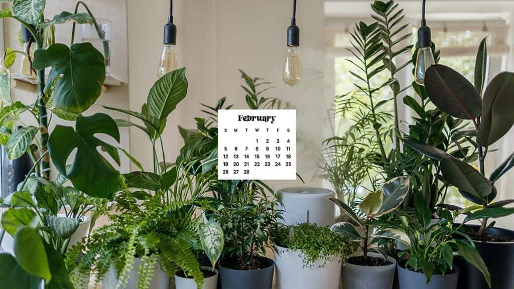 FEBRUARY 2023 WALLPAPERS – 60 FREE PHONE &#038; DESKTOP CALENDARS!, Oh So Lovely Blog