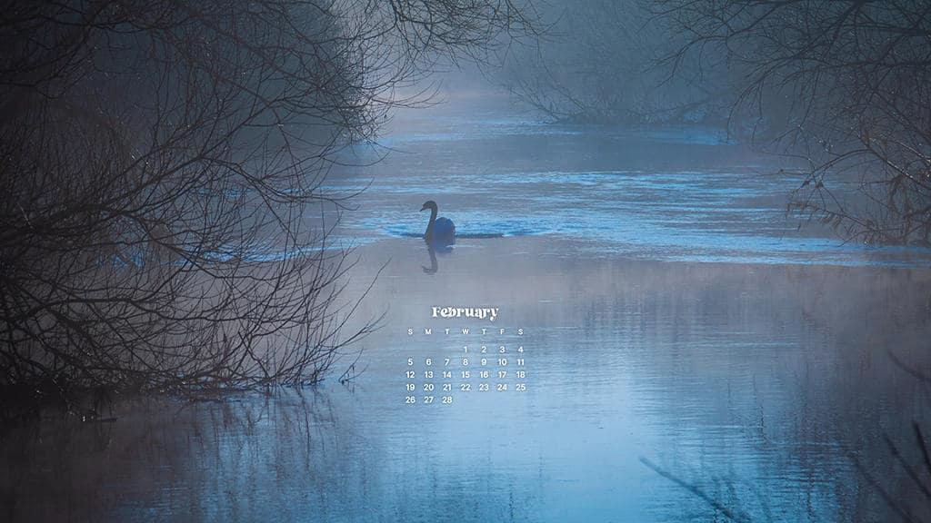 FEBRUARY 2023 WALLPAPERS – 60 FREE PHONE &#038; DESKTOP CALENDARS!, Oh So Lovely Blog