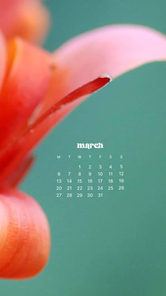 MARCH 2023 WALLPAPERS – 55 FREE PHONE &#038; DESKTOP CALENDARS!, Oh So Lovely Blog