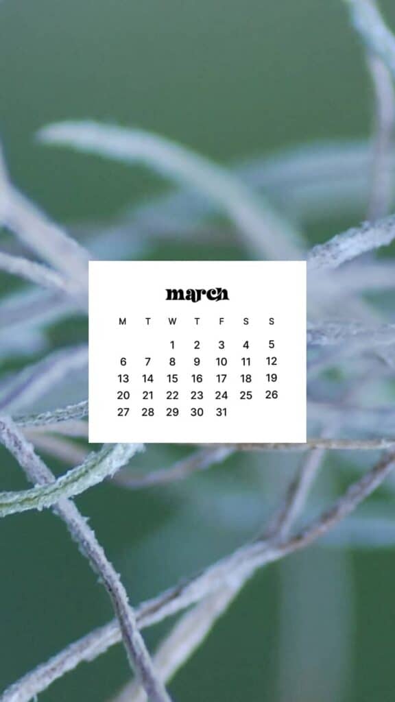 MARCH 2023 WALLPAPERS – 55 FREE PHONE &#038; DESKTOP CALENDARS!, Oh So Lovely Blog