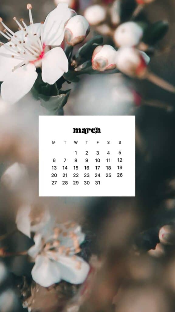 MARCH 2023 WALLPAPERS – 55 FREE PHONE &#038; DESKTOP CALENDARS!, Oh So Lovely Blog