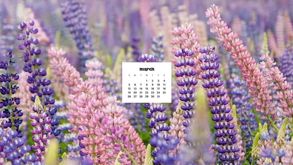 MARCH 2023 WALLPAPERS – 55 FREE PHONE &#038; DESKTOP CALENDARS!, Oh So Lovely Blog