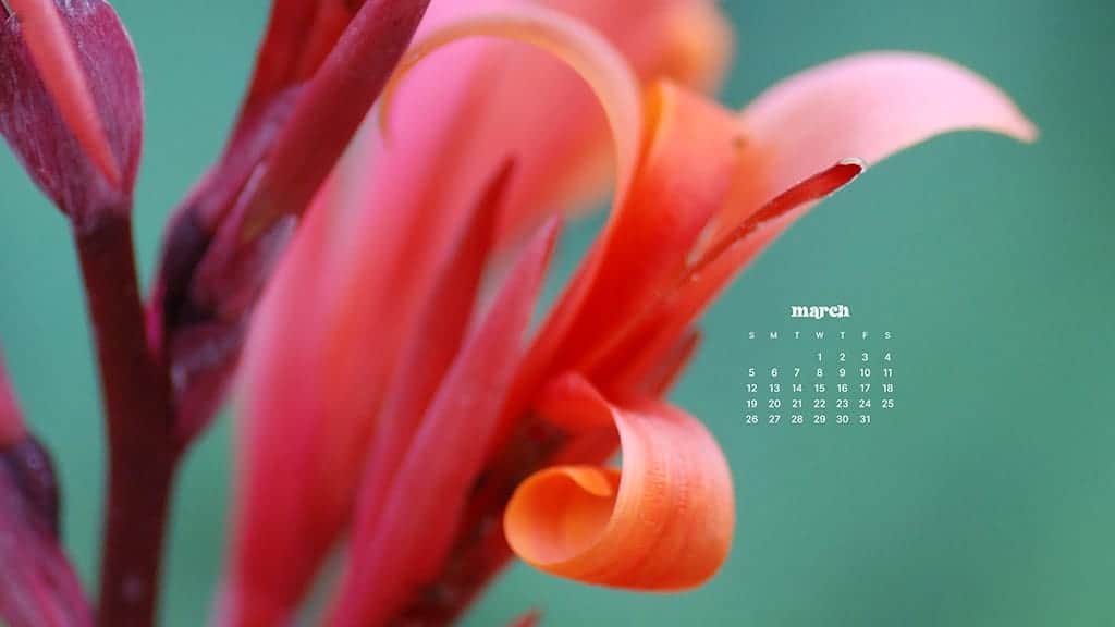 MARCH 2023 WALLPAPERS – 55 FREE PHONE &#038; DESKTOP CALENDARS!, Oh So Lovely Blog