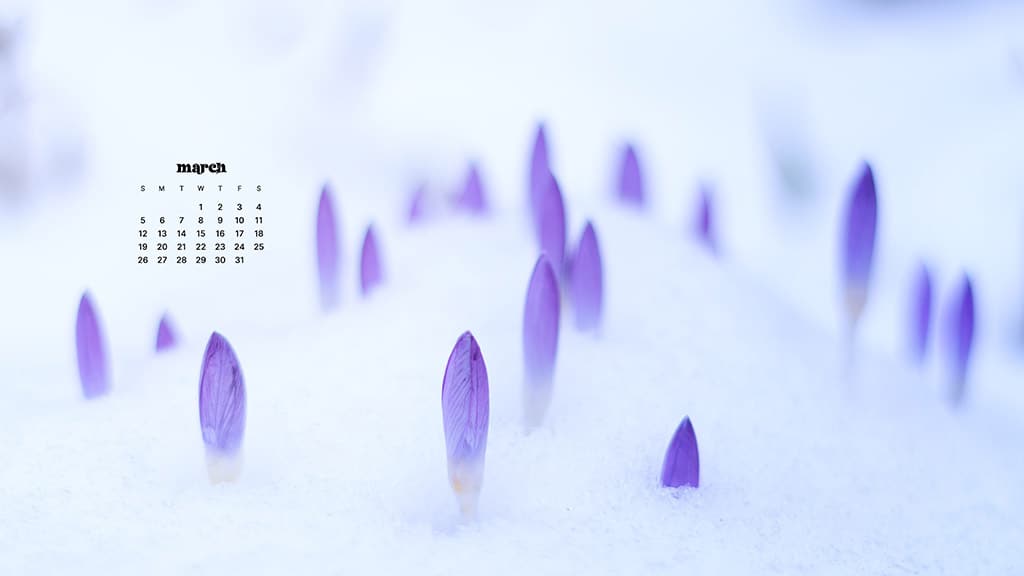 MARCH 2023 WALLPAPERS – 55 FREE PHONE &#038; DESKTOP CALENDARS!, Oh So Lovely Blog