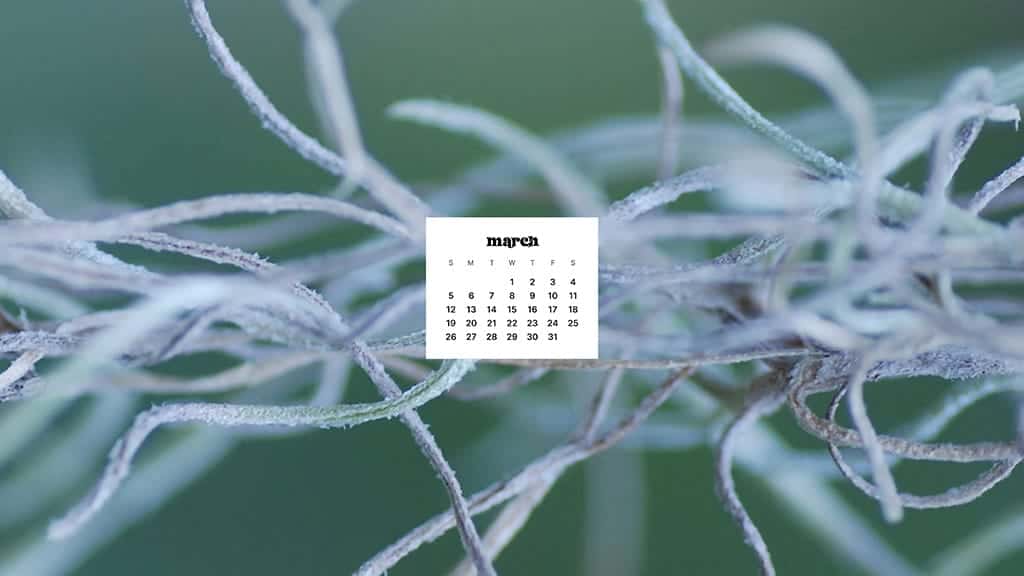 MARCH 2023 WALLPAPERS – 55 FREE PHONE &#038; DESKTOP CALENDARS!, Oh So Lovely Blog