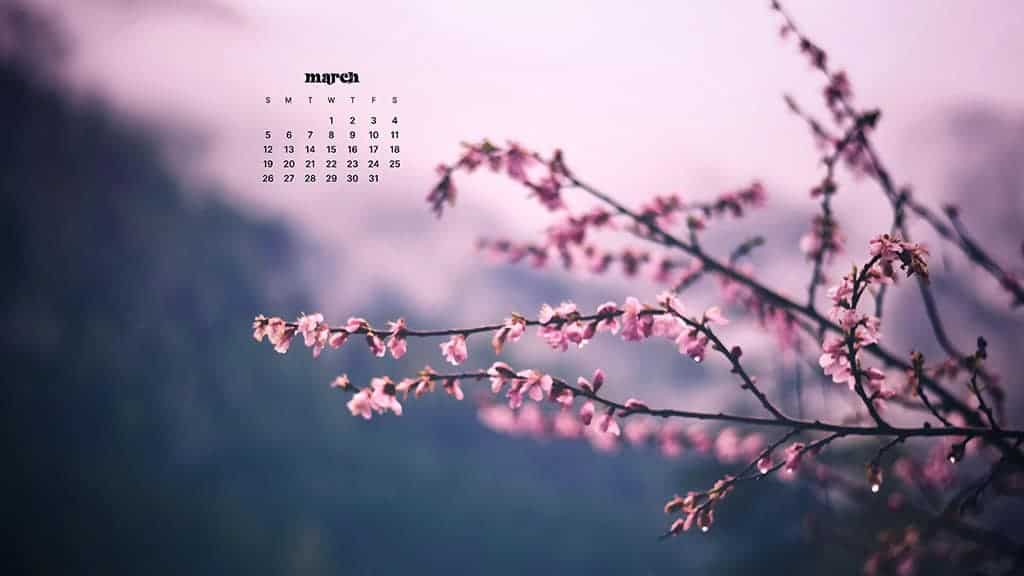 MARCH 2023 WALLPAPERS – 55 FREE PHONE &#038; DESKTOP CALENDARS!, Oh So Lovely Blog