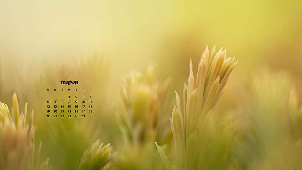 MARCH 2023 WALLPAPERS – 55 FREE PHONE &#038; DESKTOP CALENDARS!, Oh So Lovely Blog