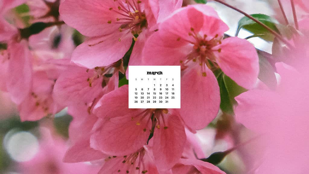 MARCH 2023 WALLPAPERS – 55 FREE PHONE &#038; DESKTOP CALENDARS!, Oh So Lovely Blog