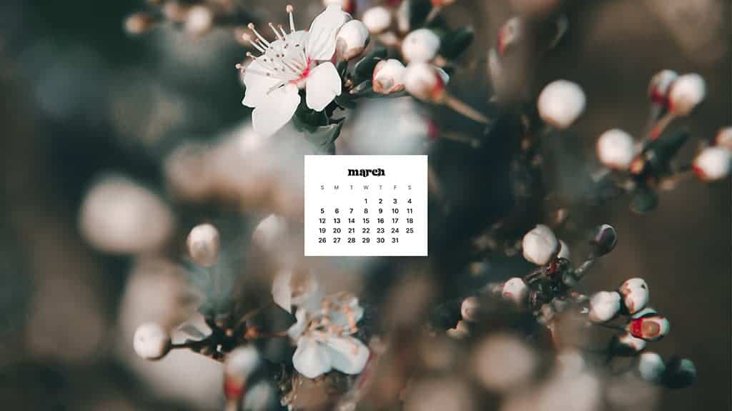 MARCH 2023 WALLPAPERS – 55 FREE PHONE &#038; DESKTOP CALENDARS!, Oh So Lovely Blog