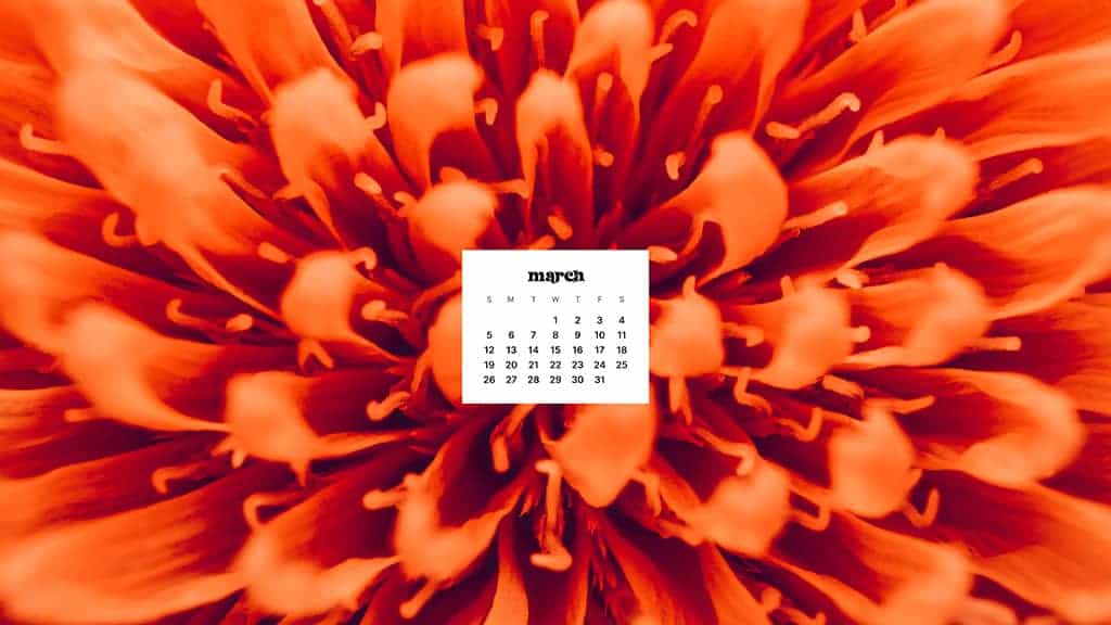 MARCH 2023 WALLPAPERS – 55 FREE PHONE &#038; DESKTOP CALENDARS!, Oh So Lovely Blog