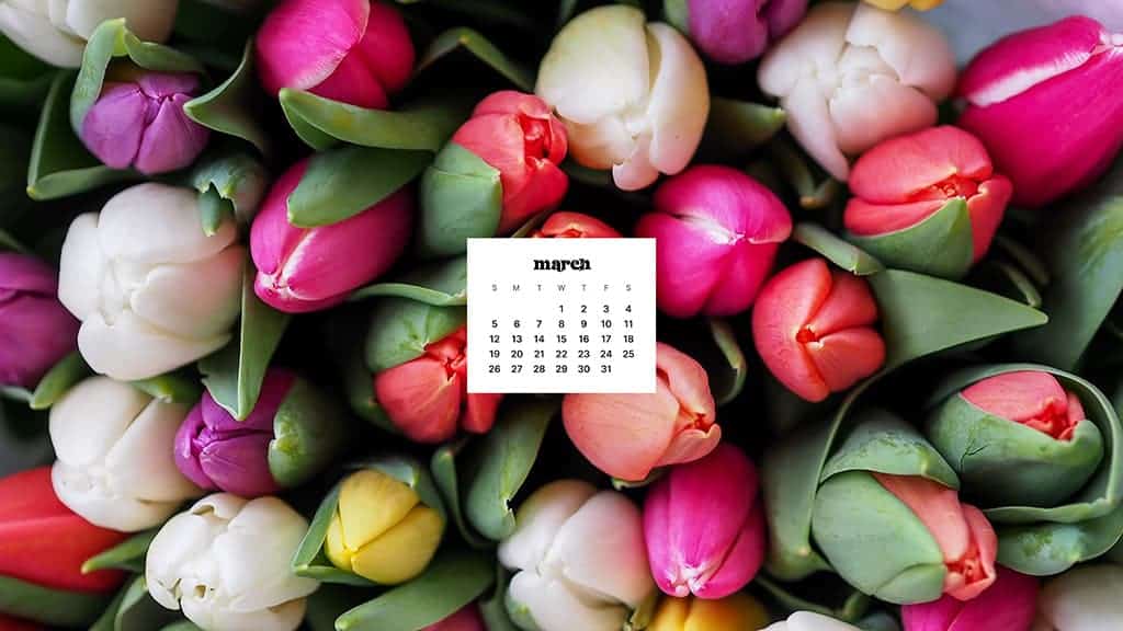 MARCH 2023 WALLPAPERS – 55 FREE PHONE &#038; DESKTOP CALENDARS!, Oh So Lovely Blog