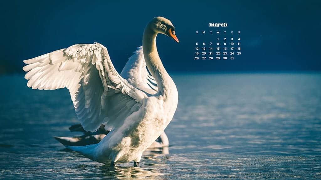 MARCH 2023 WALLPAPERS – 55 FREE PHONE &#038; DESKTOP CALENDARS!, Oh So Lovely Blog